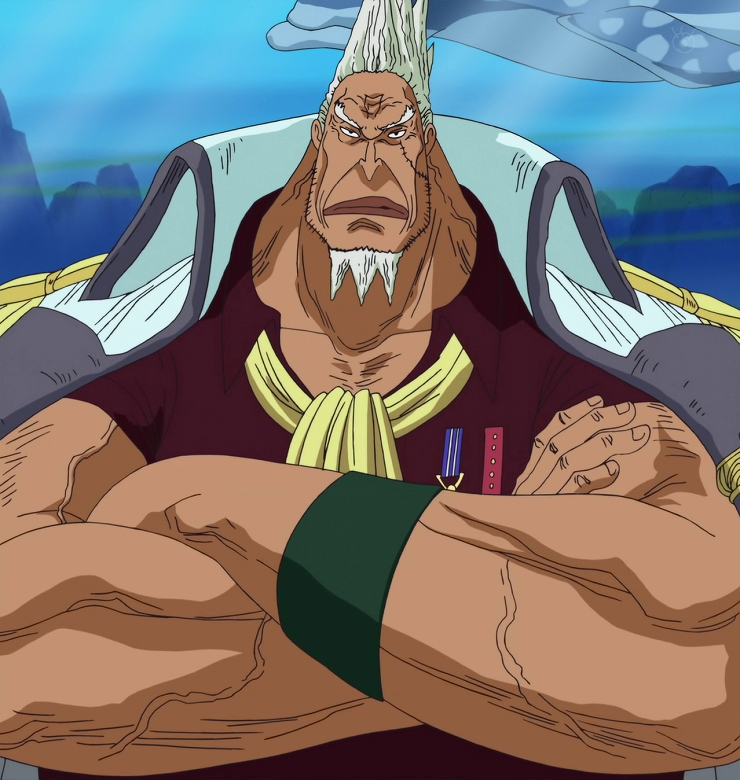 One Piece: What is the Buster Call?