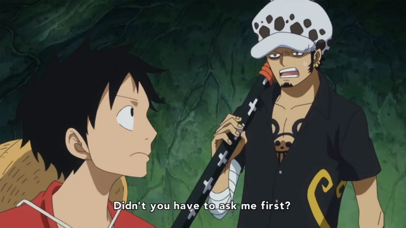 Relationship between Monkey D. Luffy and Trafalgar D. Law - One Piece