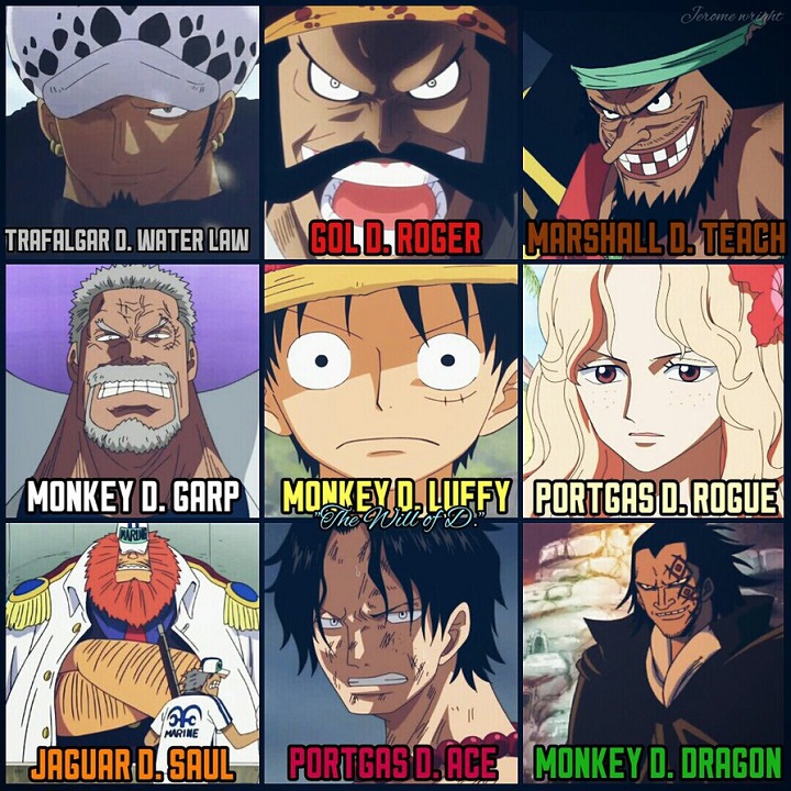 D Means… - One Piece