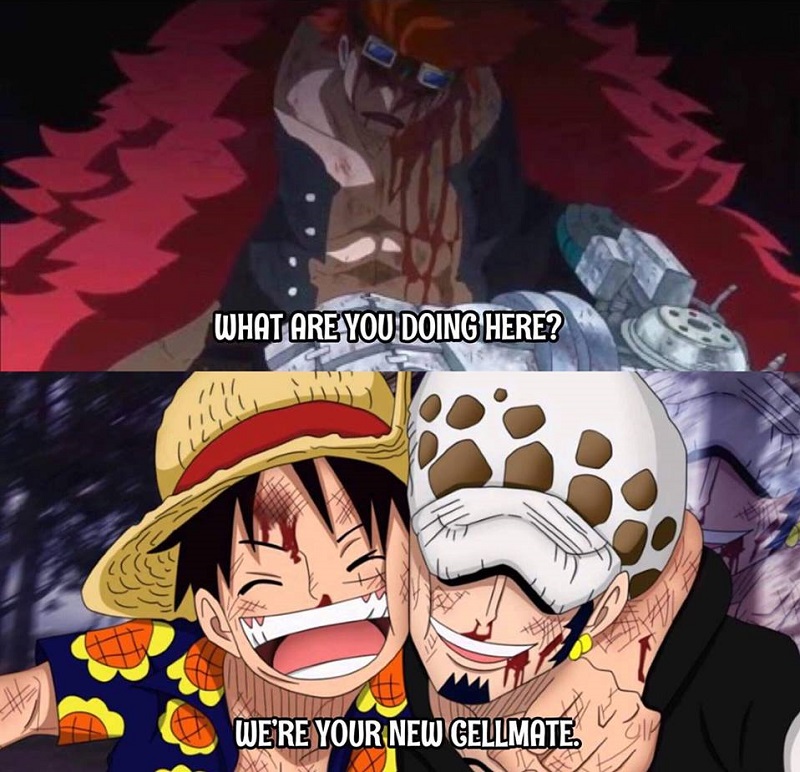 Kaido defeats Luffy with a single blow!! - One Piece