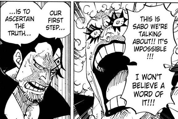 The Reincarnation Of Joy Boy Is Not Luffy One Piece