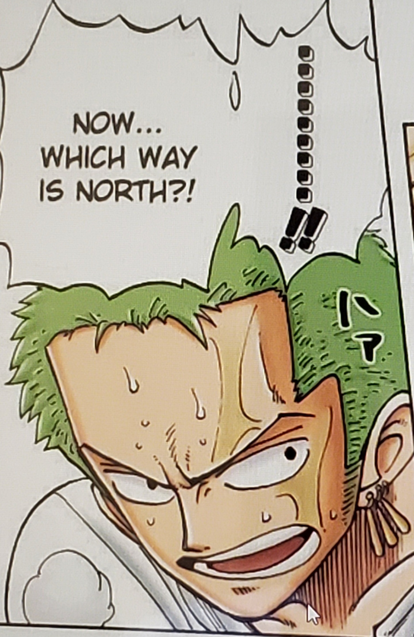 Every moment Zoro got hopelessly lost in the whole series - One Piece