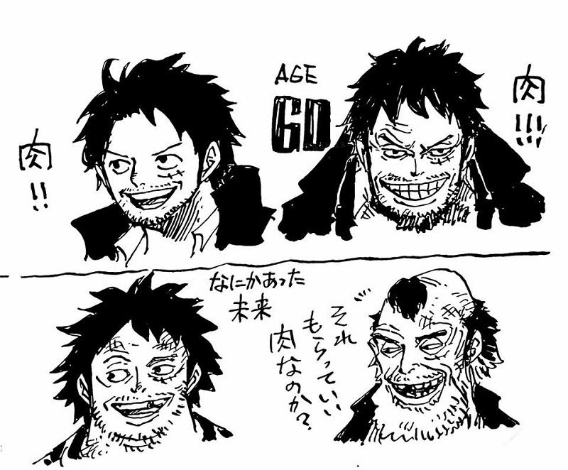 How One Piece Characters Would Look At 40 And 60 Years Old One Piece