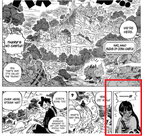 Oda S Amazing Attention To Details One Piece