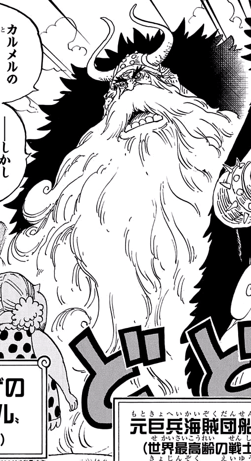 Top 20 Oldest Characters in One Piece - One Piece