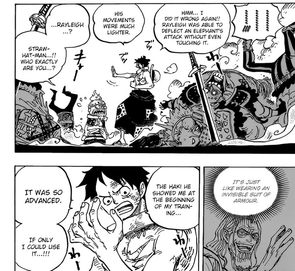 The Contrast Between Luffy And Zoro S Advanced Armament Training One Piece