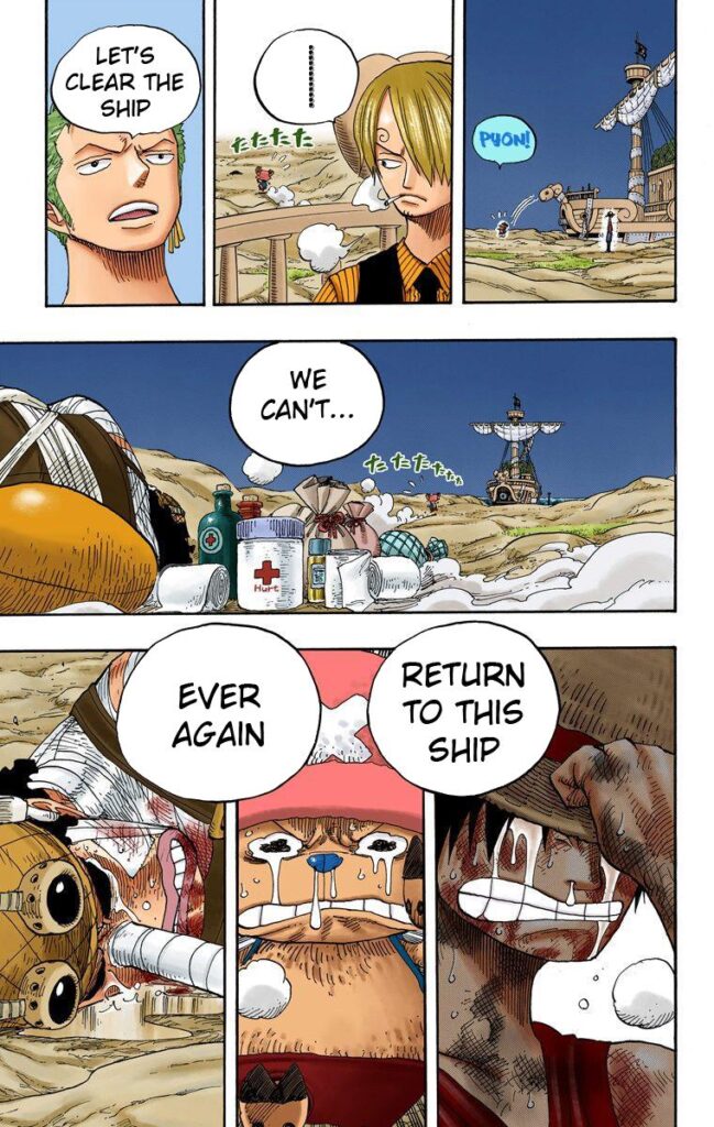 Why Zoro is the Vice-Captain and Right Hand Man of Luffy - One Piece