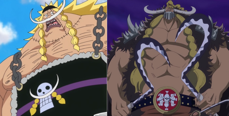 Jack The Drought is the Real Son of Whitebeard - One Piece