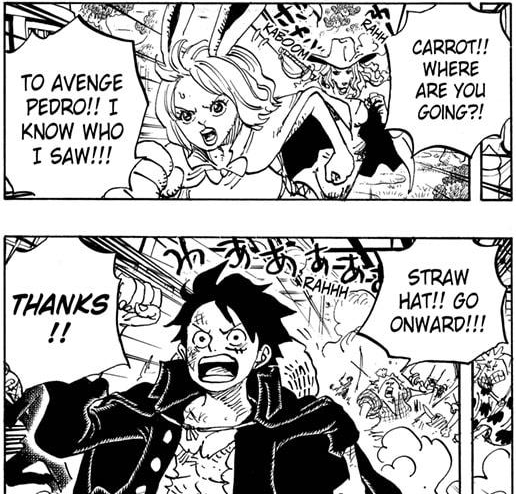 Theory: The Insane Importance of Carrot Foreshadowed to Join/Focus in  Chapter 1058, and Importance of the Numbers 5 & 8 to One Piece & Carrot : r/ OnePiece