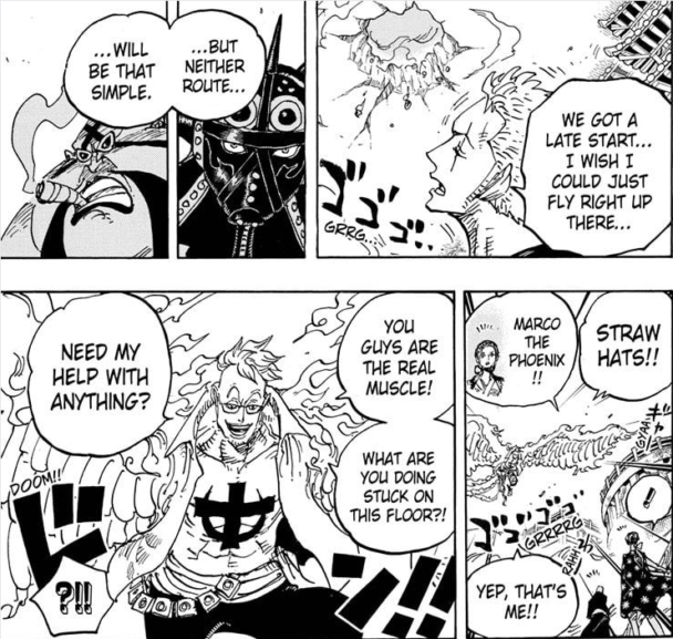 Marco is the one who will fight King in Wano - One Piece