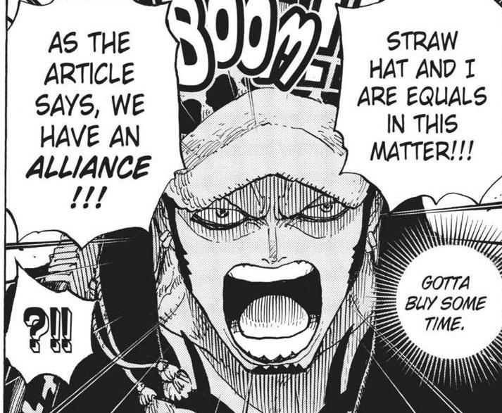 law joins straw hats