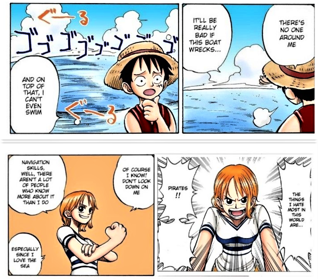 The 11th Member Of The Straw Hat Pirates One Piece