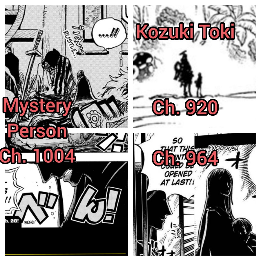 Who Is The Mysterious Figure Who Appeared At The End Of Chapter 1004 One Piece