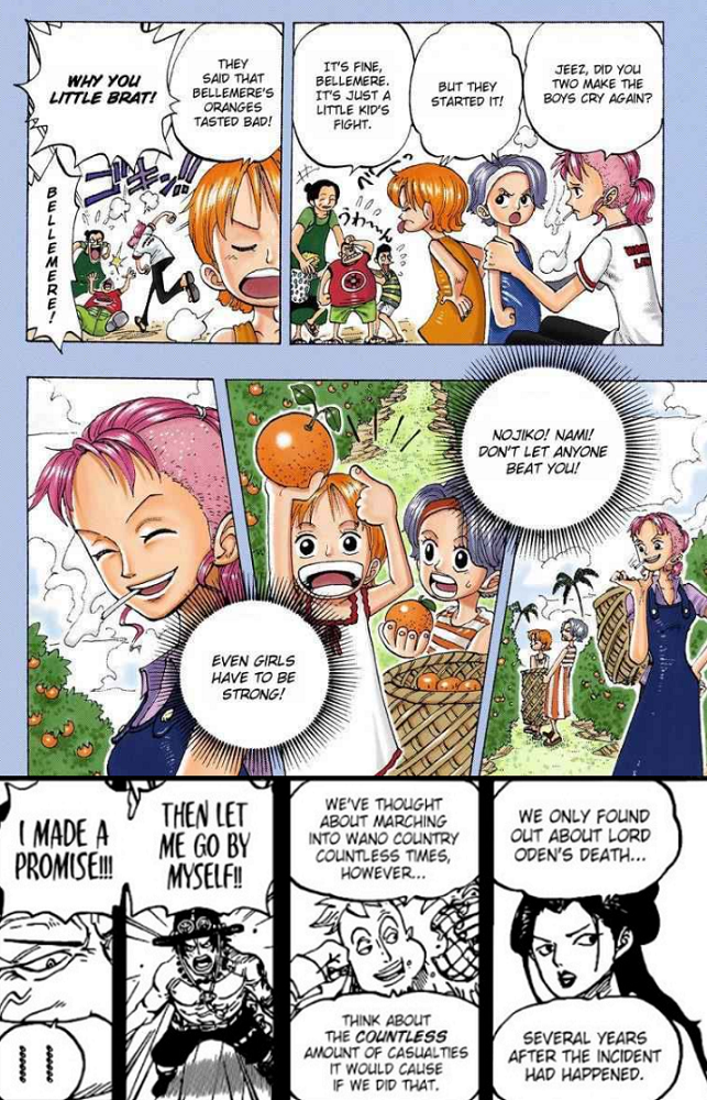 Unexpected Parallels Between Nami And Marco One Piece