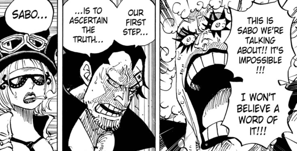 The One Who Betrayed The Revolutionaries At The Reverie One Piece