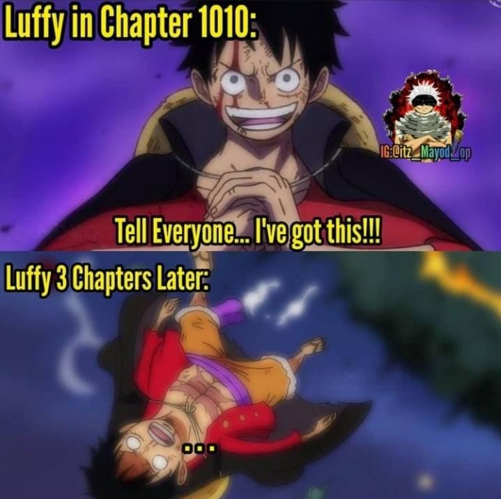 Best Memes About Chapter 1013 One Piece