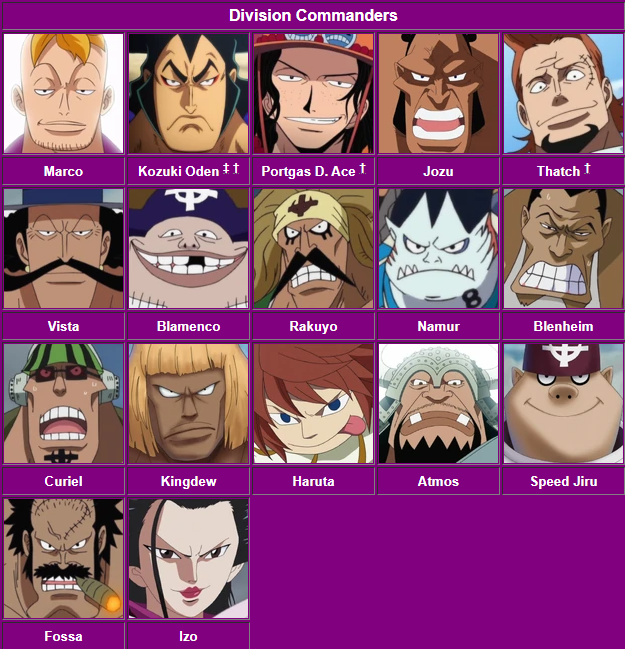 All 16 Whitebeard Pirates Commanders - One Piece