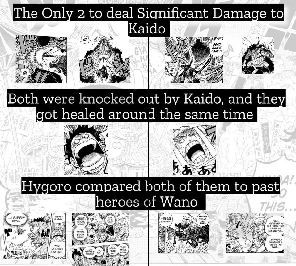 The Parallels of Luffy & Zoro in Wano Kuni : r/OnePiece