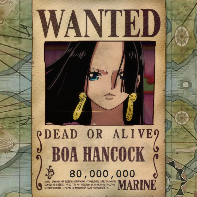 Top 10 Women with Highest Known Bounties Ever in One Piece! - One Piece