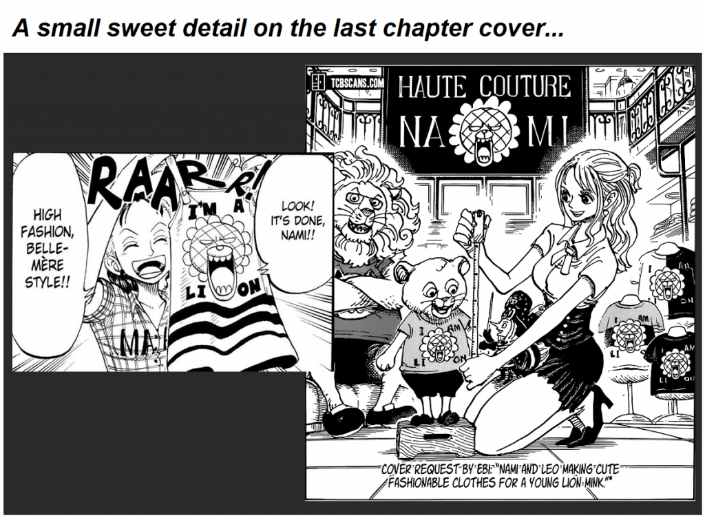 THE BACKSTORY WE NEED! - One Piece Chapter 1026