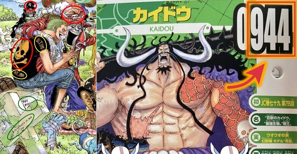 Zoro Killing Kaido Foreshadowed One Piece