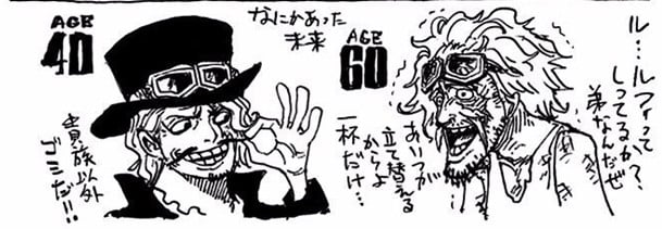 How One Piece Characters Would Look At 40 And 60 Years Old! - One Piece