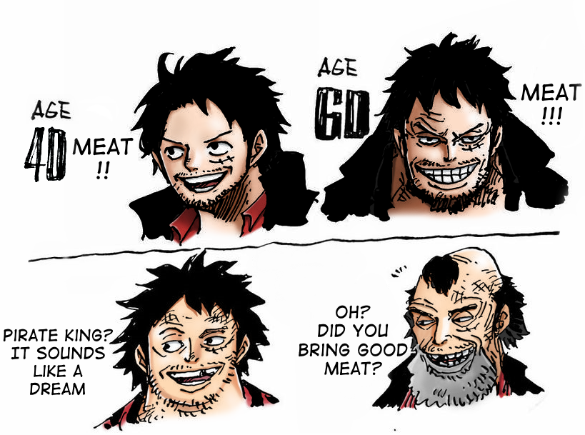 How One Piece Characters Would Look At 40 And 60 Years Old One Piece