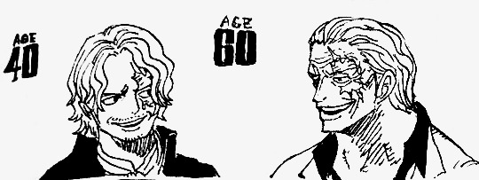 How One Piece Characters would look at 40 and 60 years old! - One Piece