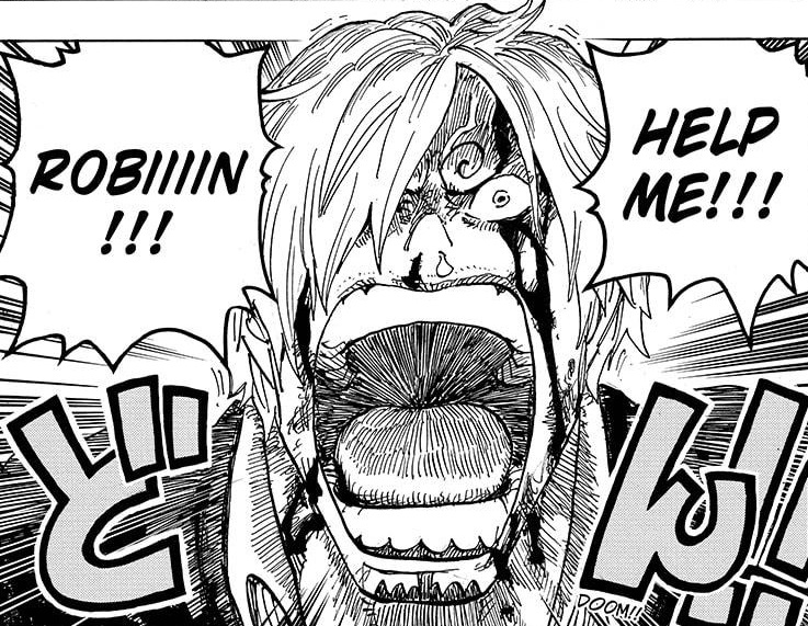 Chapter 1031 Proves That Sanji Is The Best Written And Developed Character In One Piece One Piece