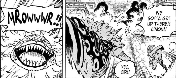 The Reveal in Chapter 1043 confirms Two New STRAW HATS Members After ...