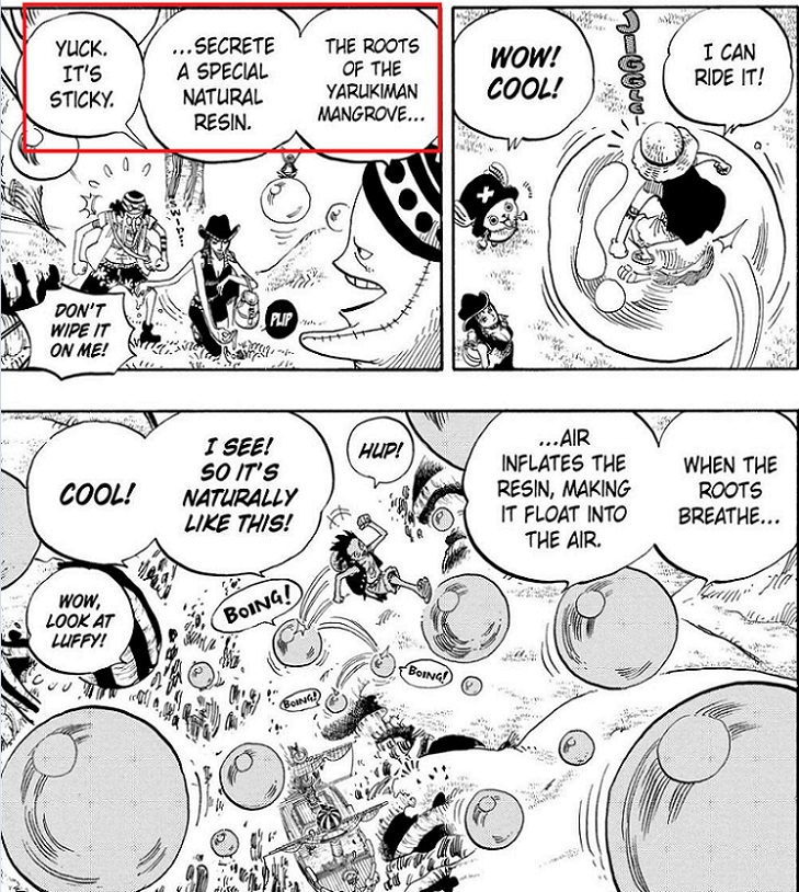 The Real Name of Luffy's Devil Fruit has already been revealed to us ...