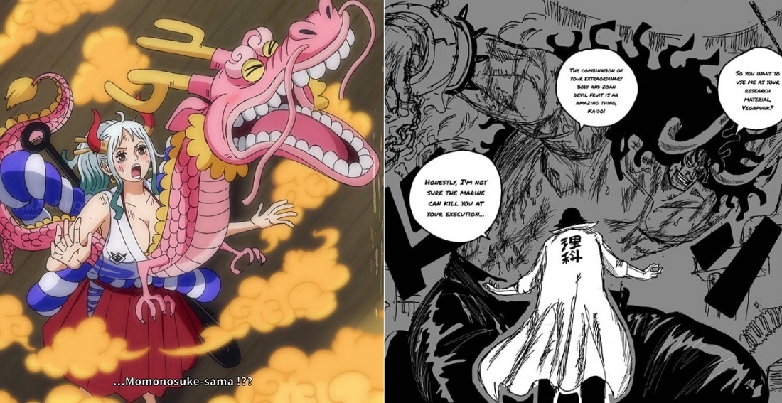 Is Momonosuke's devil fruit the artificial one that Vega punk made from  Kaido''s blood? If so, does he have the potential to have the same powers  as him? - Quora