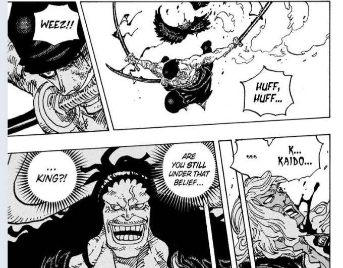 Kaido & King - The Best Captain and Right Hand Man Duo? - One Piece