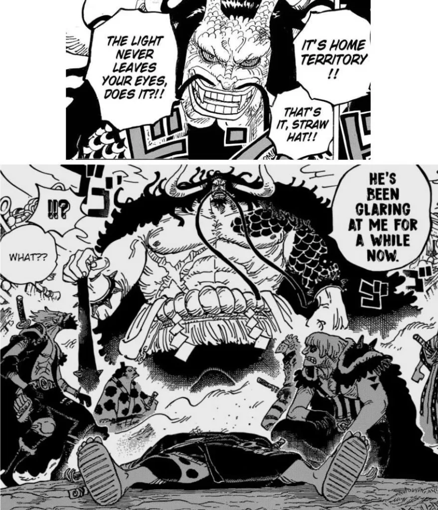 A Small Detail Missed In Chapter 1049 One Piece