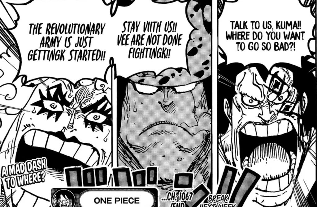 This Is Why Kuma Is Climbing the Red Line! (One Piece Theory) 