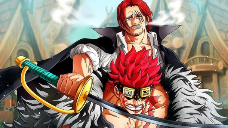 Pirate Captains in the running for the ONE PIECE - One Piece